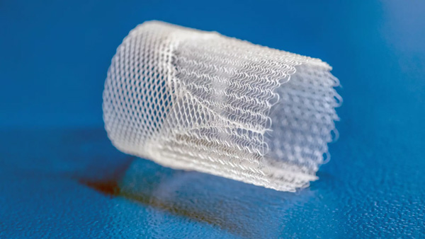 printed scaffold Image