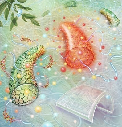 The ACS Applied Nano Materials cover illustrates a new approach for creating helix-rich RSF films based on molecular interactions between the protein molecules and carboxyl-functionalized surfaces of a small quantity of added carbon nanotubes (CNTs). (Credit: Randall McKenzie/McKenzie Illustrations).