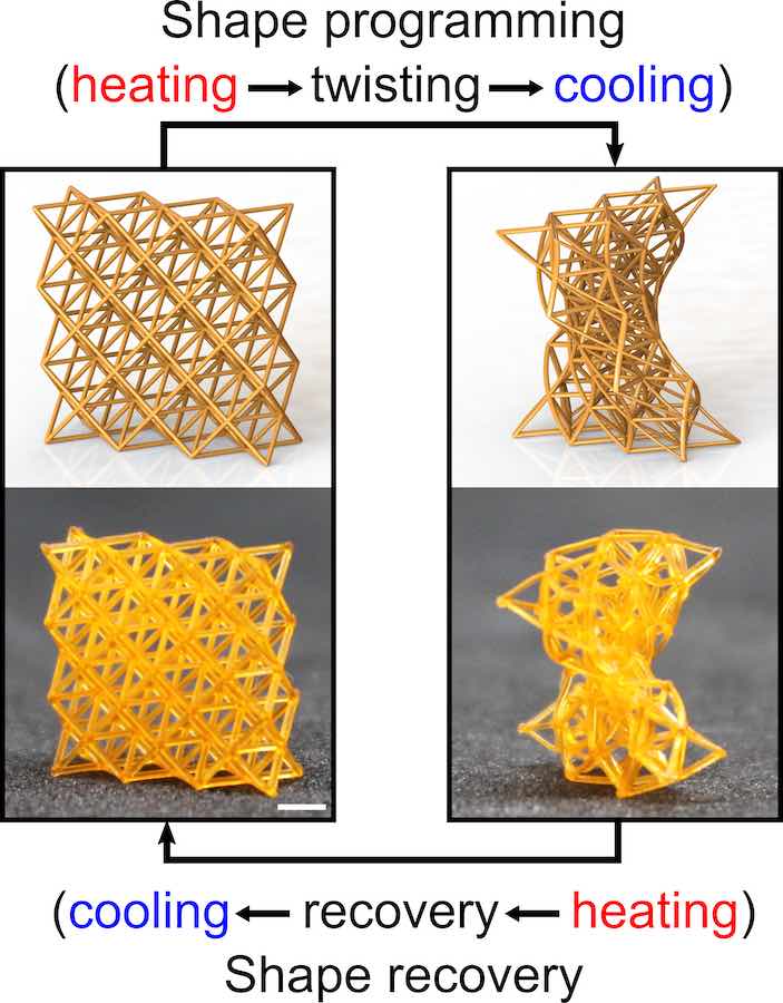 Image of 4D-printed metamaterials.