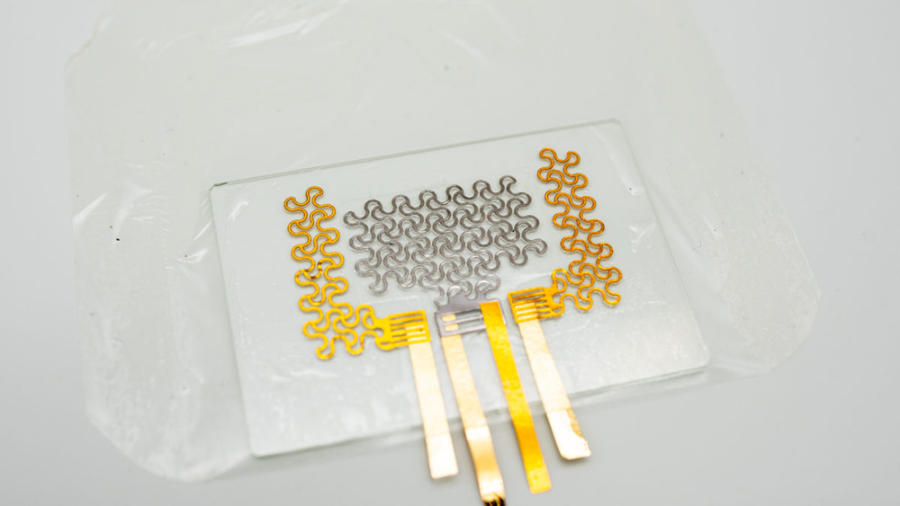 Image of E-tatoo