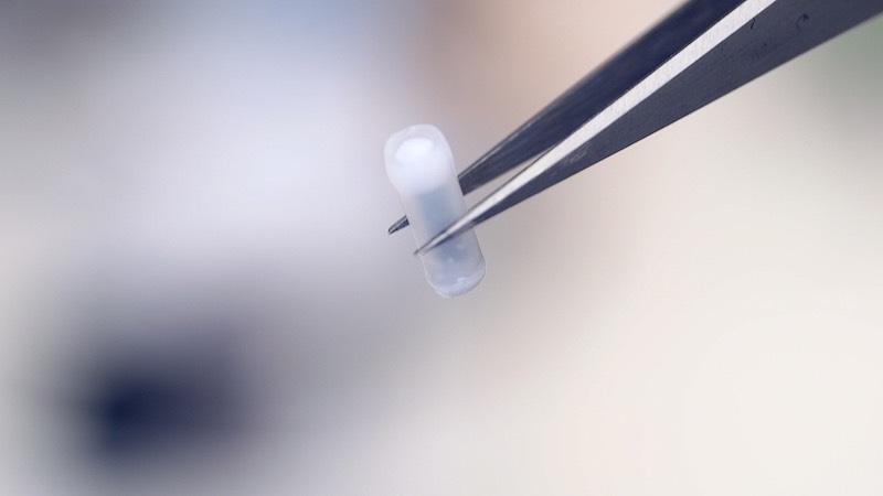 Image of Drug Capsule