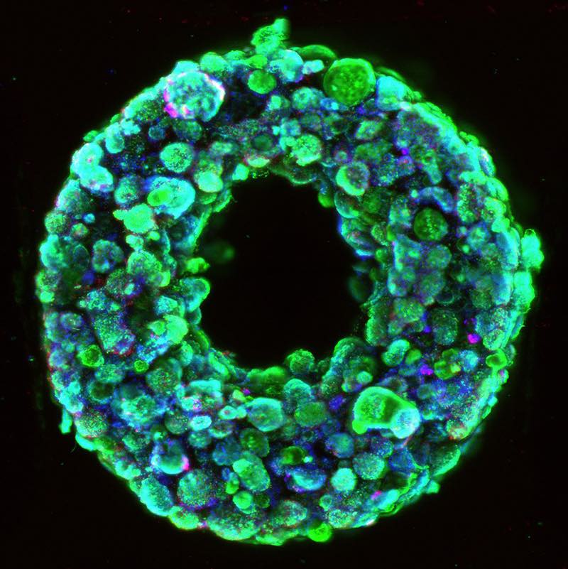 Breakthrough Technique Improves 3D Printing