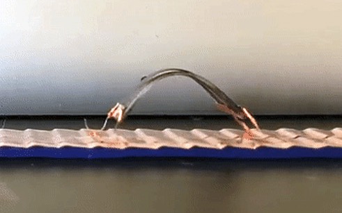 Image of Miniature Soft Robot