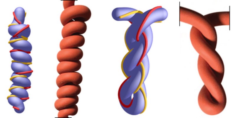 Artificial Muscles Work Graphic