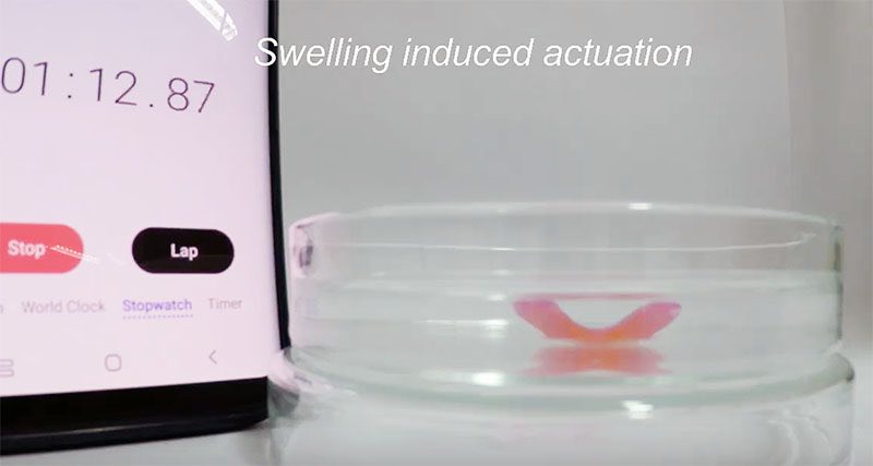 Image of Swelling Induced Actuation