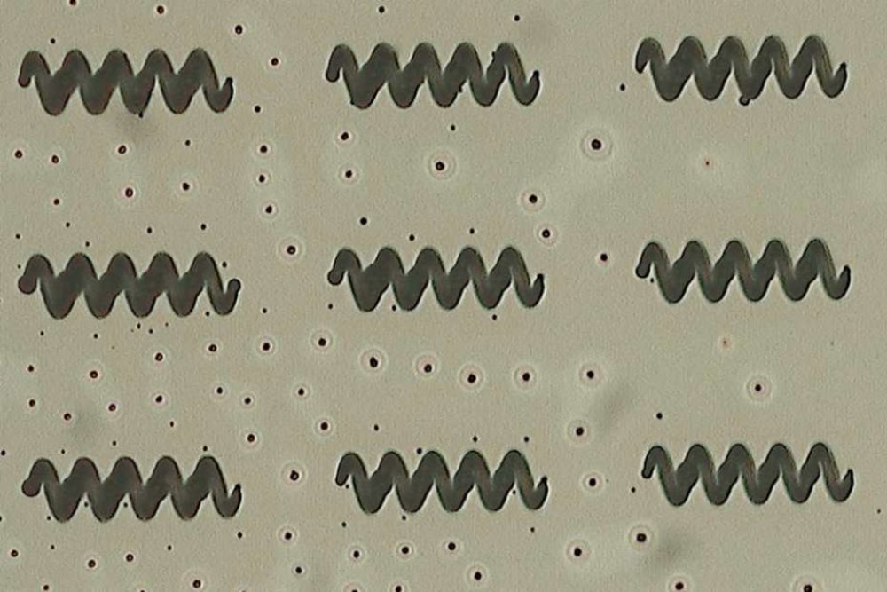 Hydrogel helices produced by indirect 4D printing from ETH Zurich